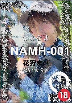 NAMH-001110 