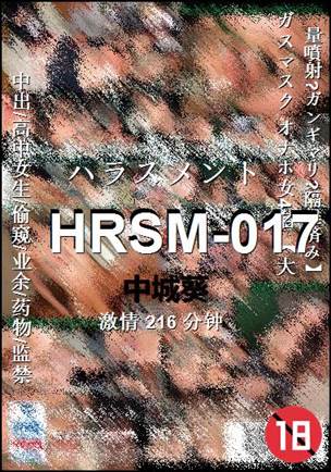 HRSM-017216 分钟