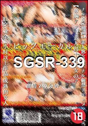 SGSR-339240 