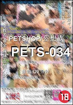 PETS-034120 
