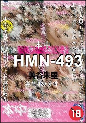 HMN-493120 分钟
