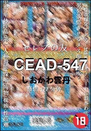 CEAD-547177 分钟