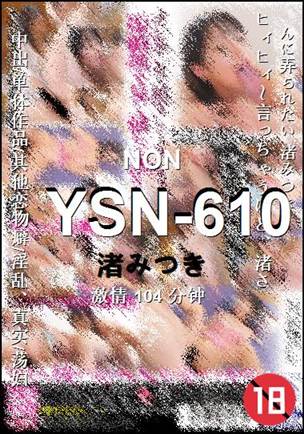 YSN-610104 