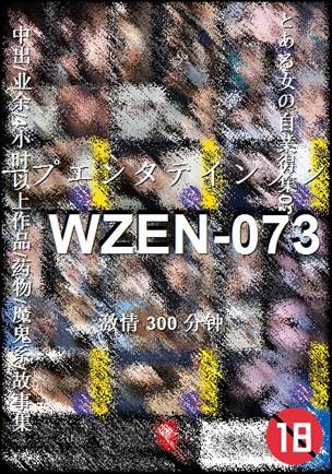 WZEN-073300 