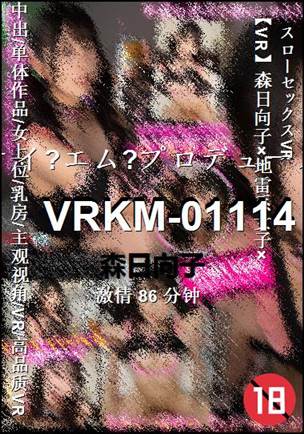 VRKM-0111486 
