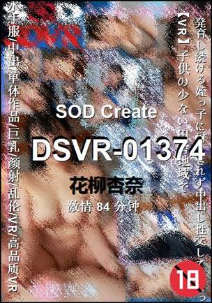 DSVR-0137484 