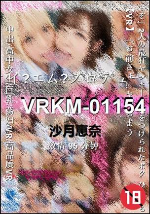 VRKM-0115495 