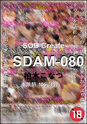 SDAM-080155 