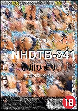 NHDTB-841130 