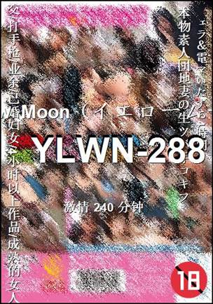 YLWN-288240 