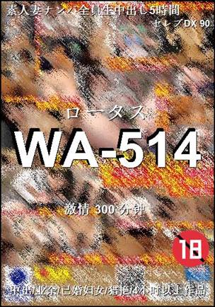 WA-514300 分钟