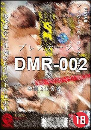 DMR-002245 