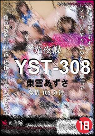 YST-308103 