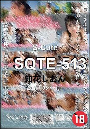 SQTE-513105 