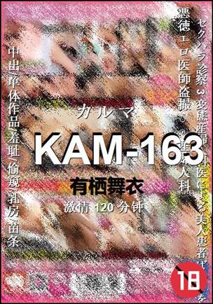 KAM-163120 