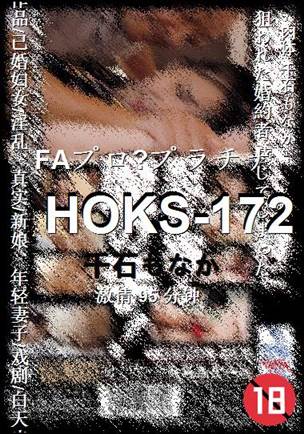 HOKS-17295 