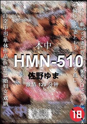 HMN-510120 