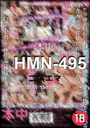 HMN-495150 分钟