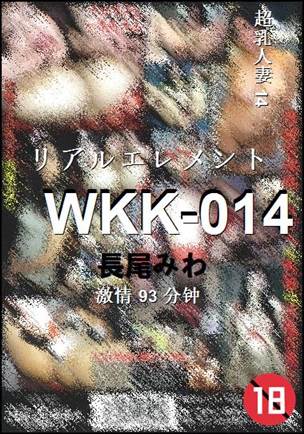 WKK-01493 
