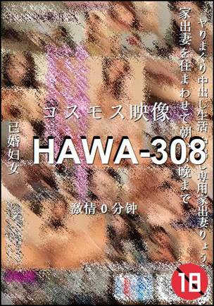 HAWA-3080 