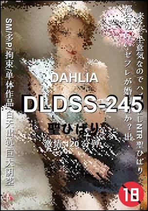 DLDSS-245120 