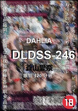 DLDSS-246120 