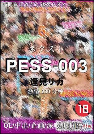 PESS-003230 分钟