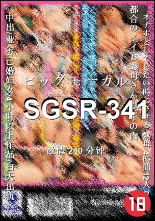 SGSR-341240 