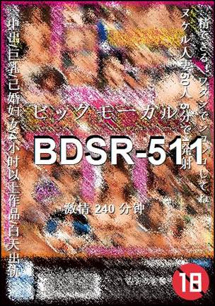 BDSR-511240 