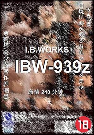 IBW-939z240 