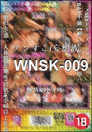 WNSK-009291 