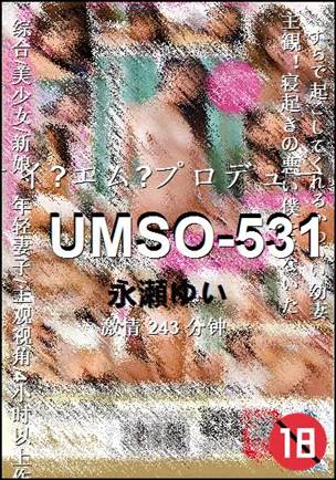 UMSO-531243 分钟