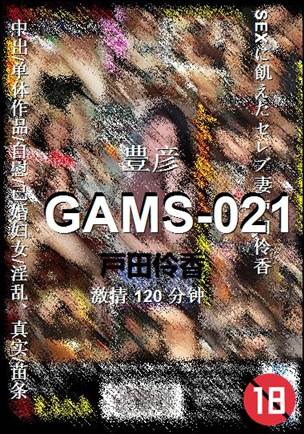 GAMS-021120 