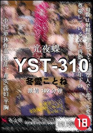 YST-310102 