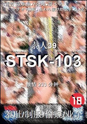 STSK-103233 分钟