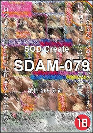 SDAM-079265 