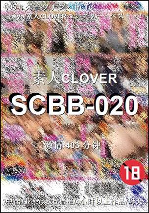 SCBB-020403 