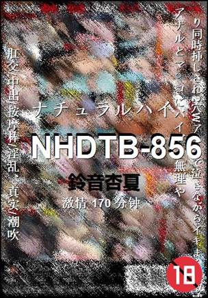 NHDTB-856170 