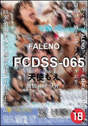 FCDSS-065480 分钟
