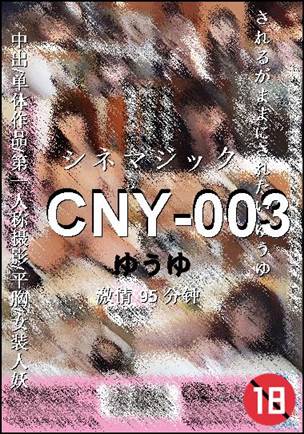 CNY-00395 