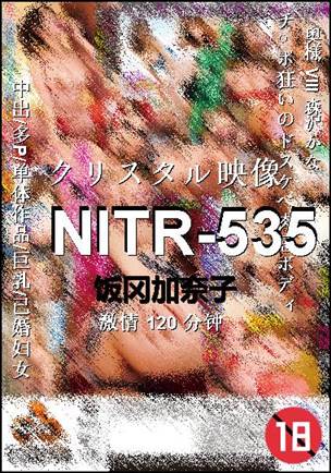 NITR-535120 