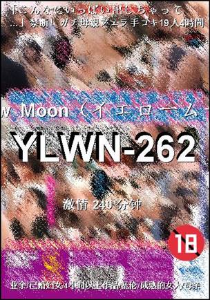 YLWN-262240 