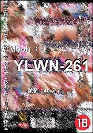 YLWN-261240 