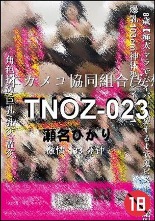 TNOZ-023133 