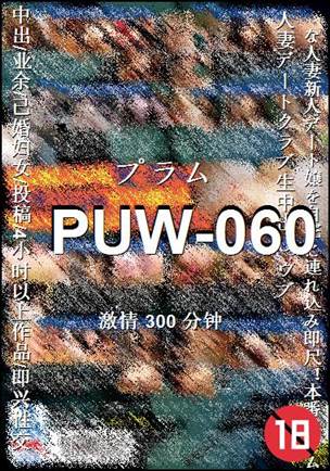 PUW-060300 
