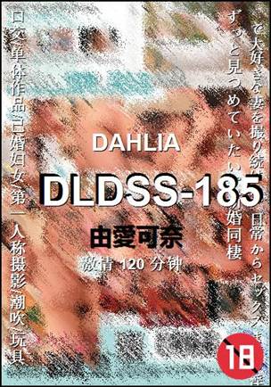 DLDSS-185120 