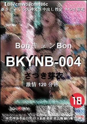 BKYNB-004120 