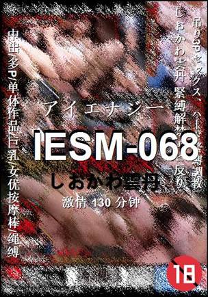 IESM-068130 