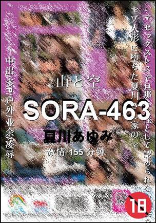 SORA-463155 
