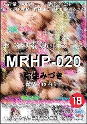 MRHP-020113 